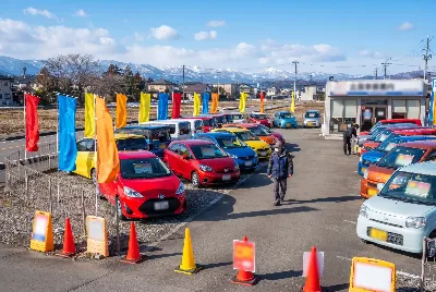 中古車の販売・買取をしている様子