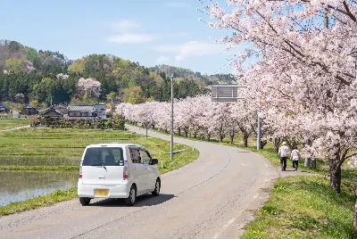 道路や車のある風景