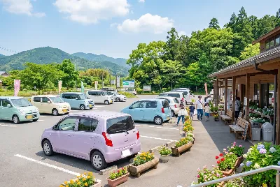 道路や車のある風景