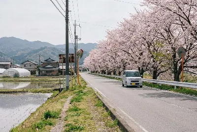 道路や車のある風景