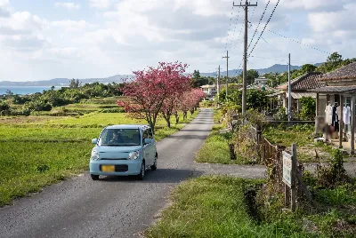 道路や車のある風景